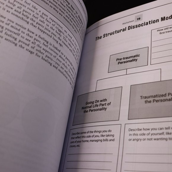 Transforming the Living Legacy of Trauma by Janina Fisher, PhD (softcover) - Picture 5 of 5